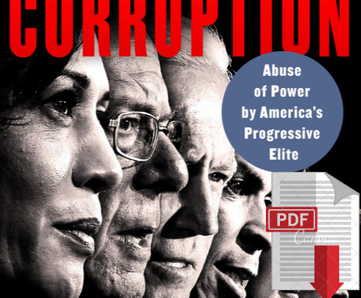 Profiles in Corruption: Abuse of Vitality by Peter Schweizer 2020 🔥P.D.F model🔥