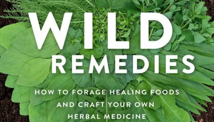 Wild Therapies: Easy be taught the technique to Forage Therapeutic Meals and Craft Your Bear Natural… (EP.UB)