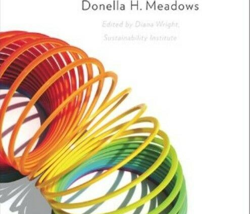 Pondering in Programs A Primer By Donella Meadows[Electronic Book]📕Snappy Shipping