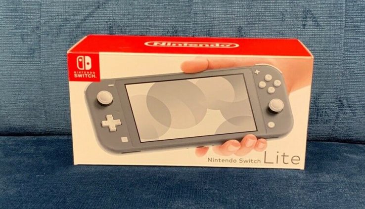 Nintendo Swap Lite Gray Imprint Recent Free Shipping