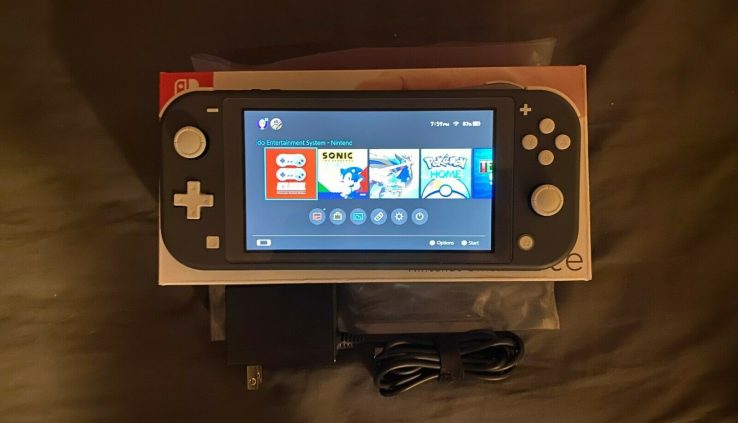 Nintendo Swap Lite – Grey, **w/ 128gb Samsung SD — Case — Tempered Glass**