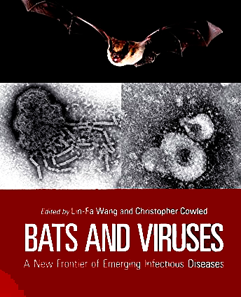 Bats and Viruses : A Fresh Frontier of Rising Infectious Ailments