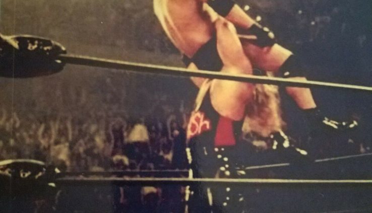 NITRO: The Unbelievable Upward push and Inevitable Give procedure of Ted Turner’s WCW (Unique E book