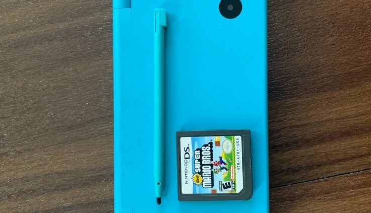 DSi with Orderly Mario Bros integrated