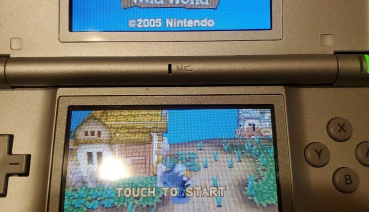 Nintendo DS Lite Originate Edition Silver Handheld Procedure With Animal Crossing