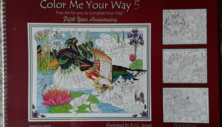 Coloration Me Your Attain 5-  by: P. J. C. Clear – FREE SHIPPING – COLORING BOOK