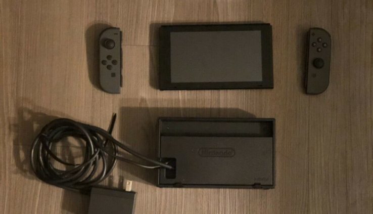 Nintendo Gray Switch 128gb Console bundle with Ineffective by Daytime 