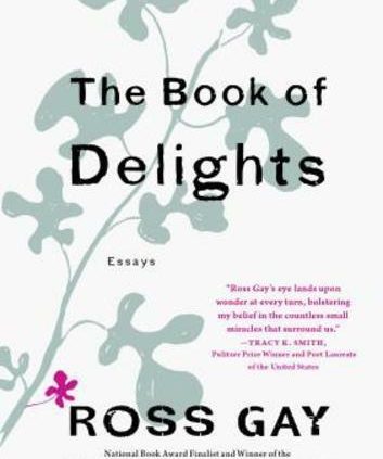 The E book of Delights: Essays by Ross Cheerful: Novel