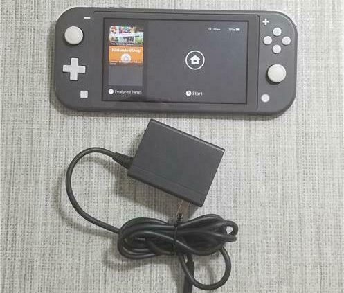 Grey Nintendo Swap Lite Console System