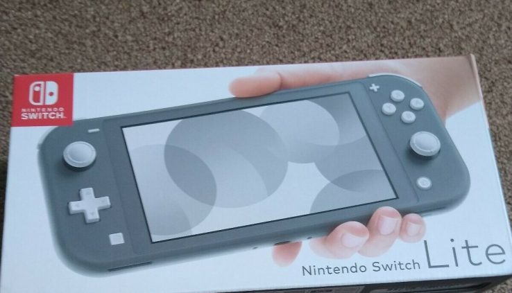 Nintendo Swap Lite Gray 32GB