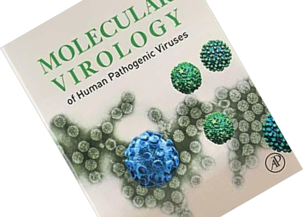Molecular Virology of Human Pathogenic Viruses 1st Version by Wang-Shick Ryu