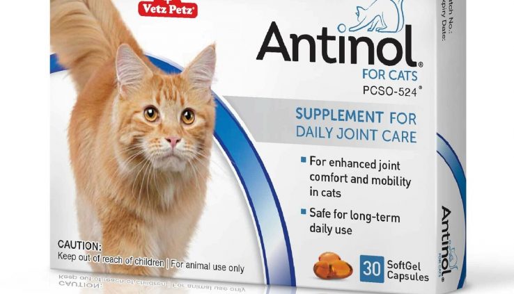 Antinol® for Cats – joint properly being care capsules – have interaction from the manufacturer