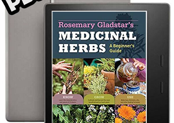 Rosemary Gladstar’s Medicinal Herbs: A Newbie’s Book ✅ Excessive Fantastic ✅