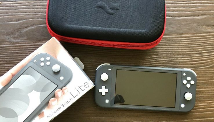 Nintendo Swap Lite – Grey (w/ Case)