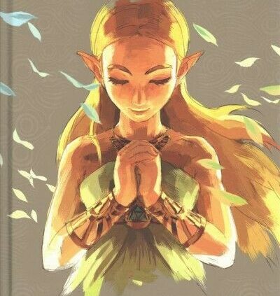 Account of Zelda Breath of the Wild : The Complete Legitimate E book, Hardcover b…
