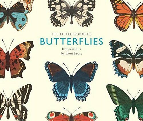 NEW – The Little Files to Butterflies