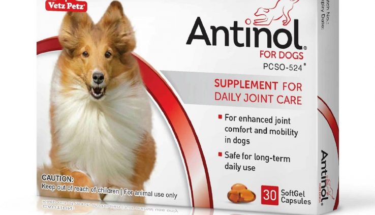 Antinol® for Canines – joint health care capsules – clutch from the manufacturer
