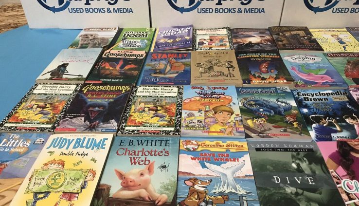 Lot of 25 Kids’s Kids Chapter Books Instant Library Unsorted FREE SHIPPING!
