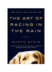 The Artwork of Racing in the Rain: A Unique by Stein, Garth , Paperback