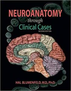 Neuroanatomy thru Scientific Conditions 2nd Version [P.D.F]