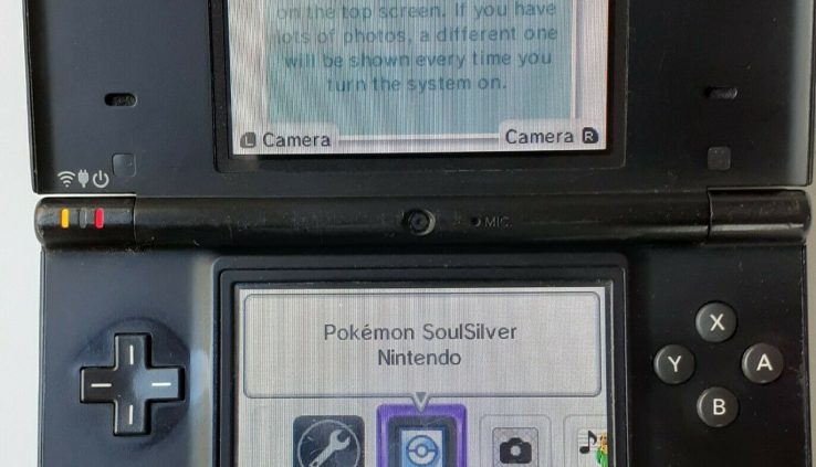Nintendo DSi Matte Shadowy Tested Works