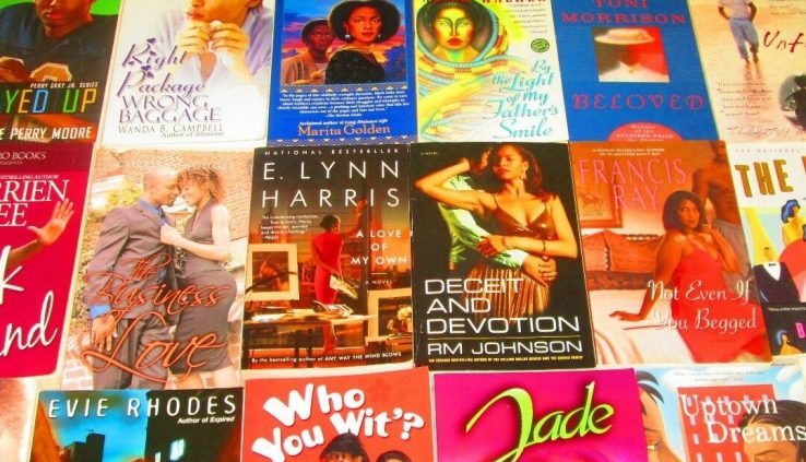 MIXED AUTHOR African American FICTION/URBAN E-book Lot INSTANT COLLECTION